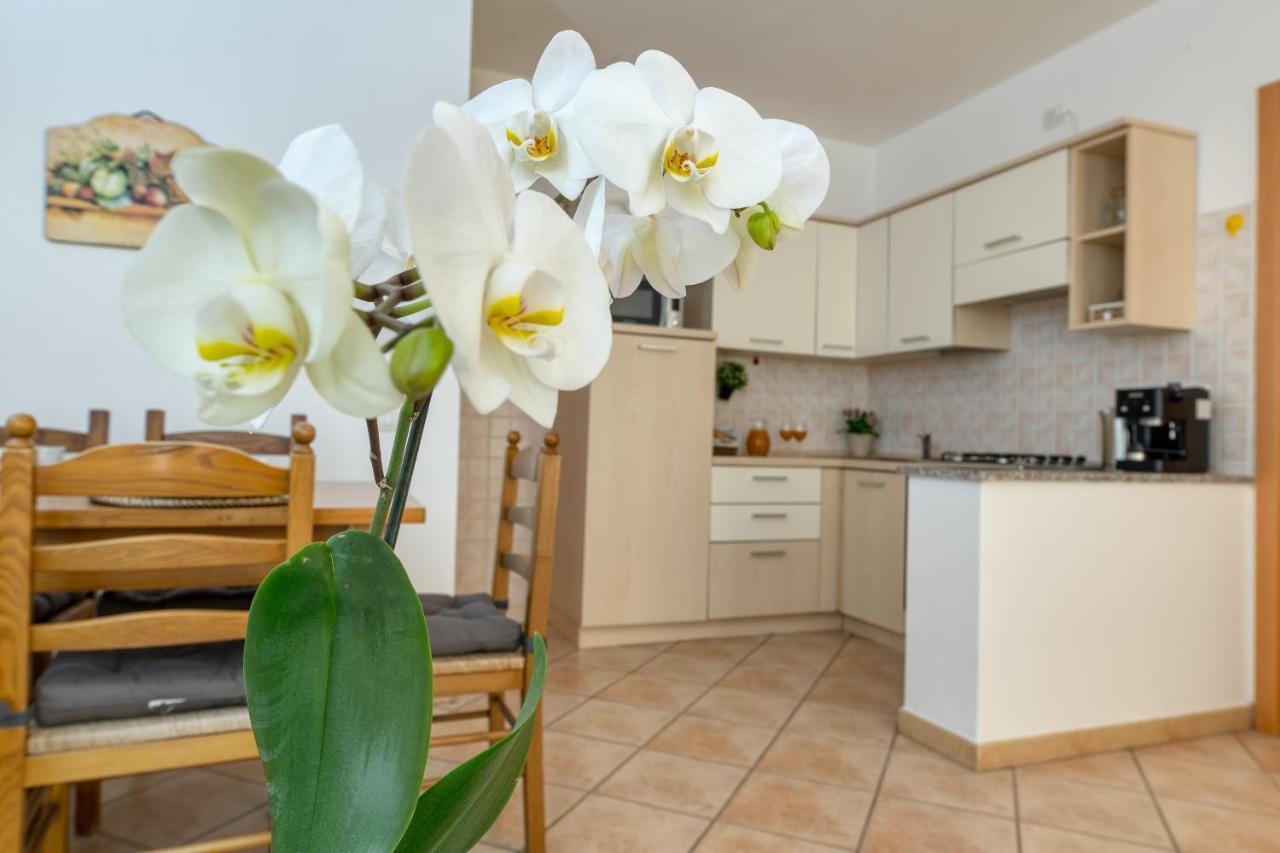 Izzhome Everyway Пула Экстерьер фото